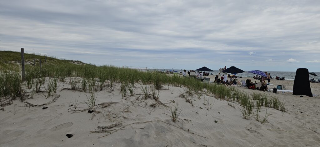 a beach with people and umbrellas (MyCoast AI)