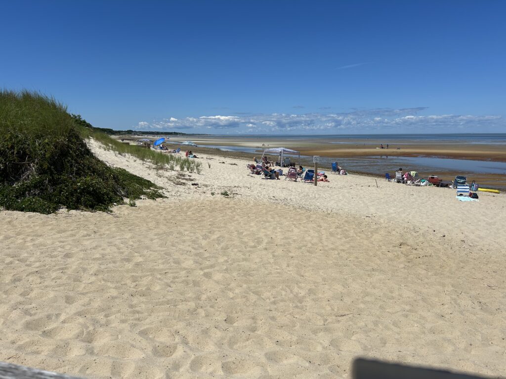 a beach with people and boats (MyCoast AI)