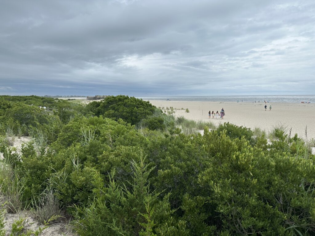a group of people walking on a beach (MyCoast AI)