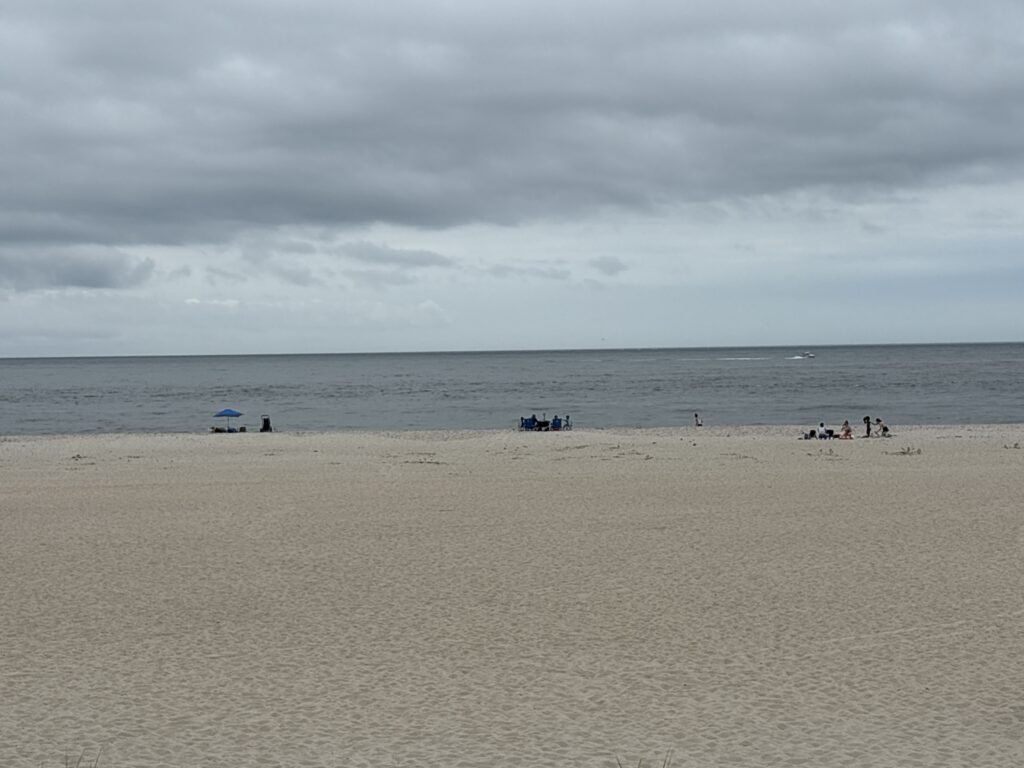 a group of people stand on a beach (MyCoast AI)