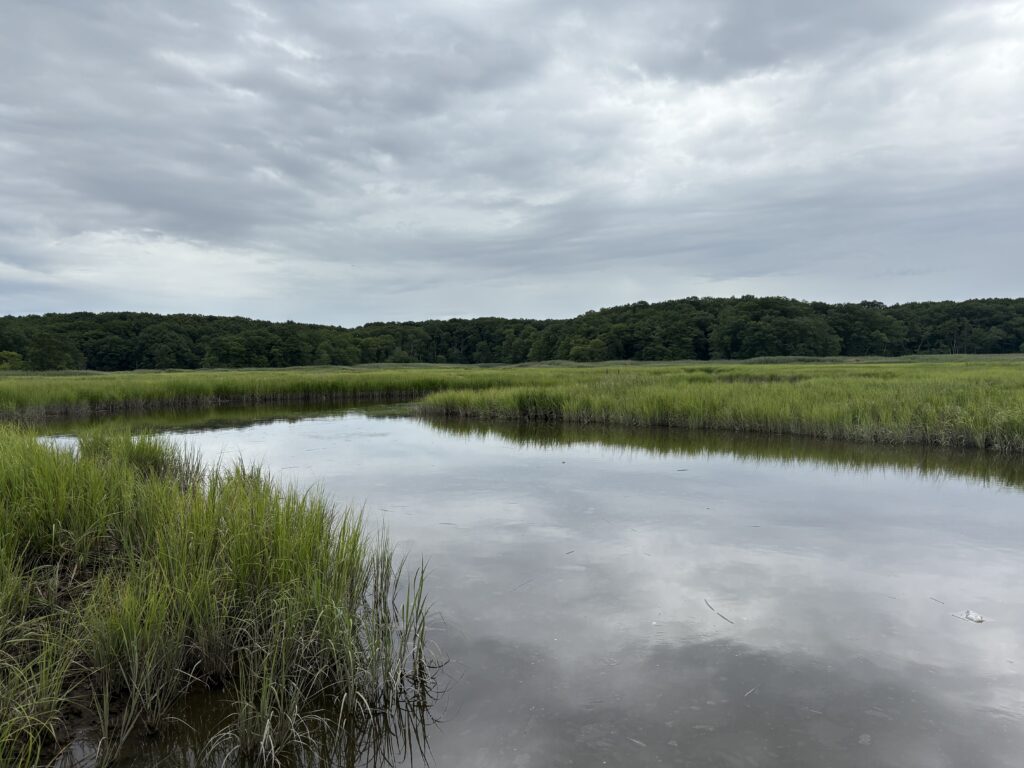 a body of water with grass and trees around it (MyCoast AI)