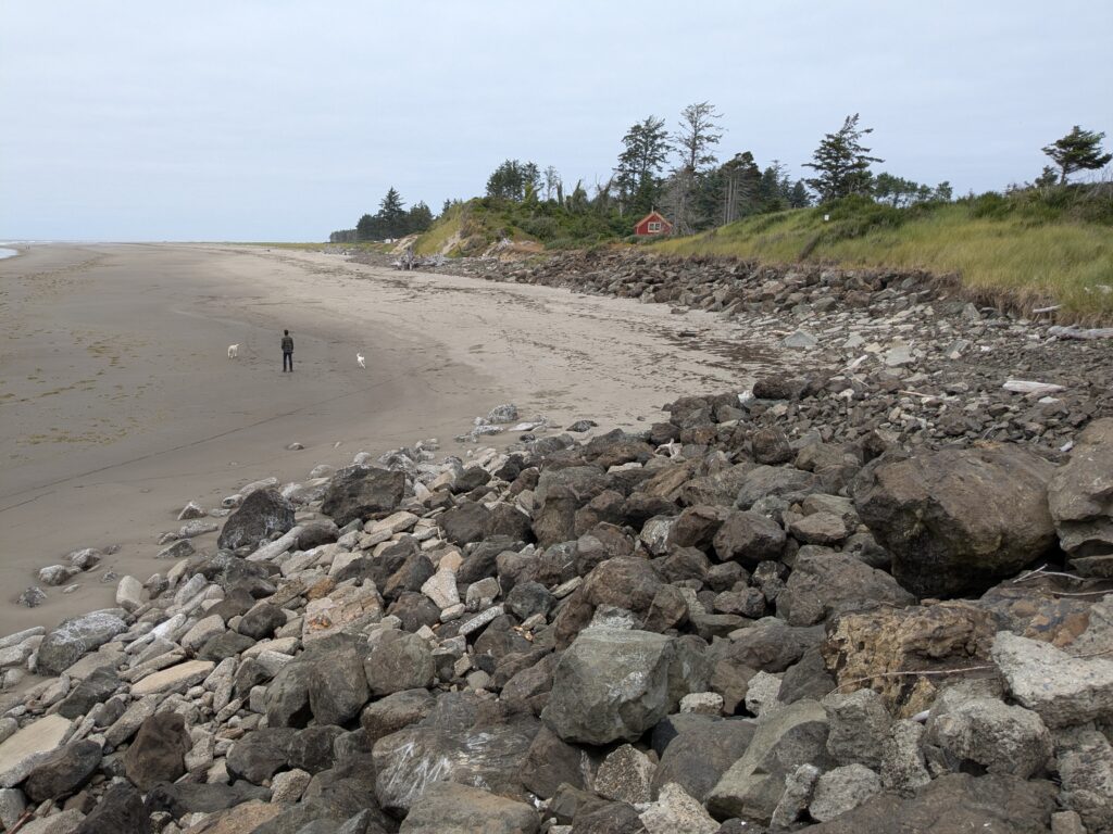 a rocky beach with a person walking on it (MyCoast AI)