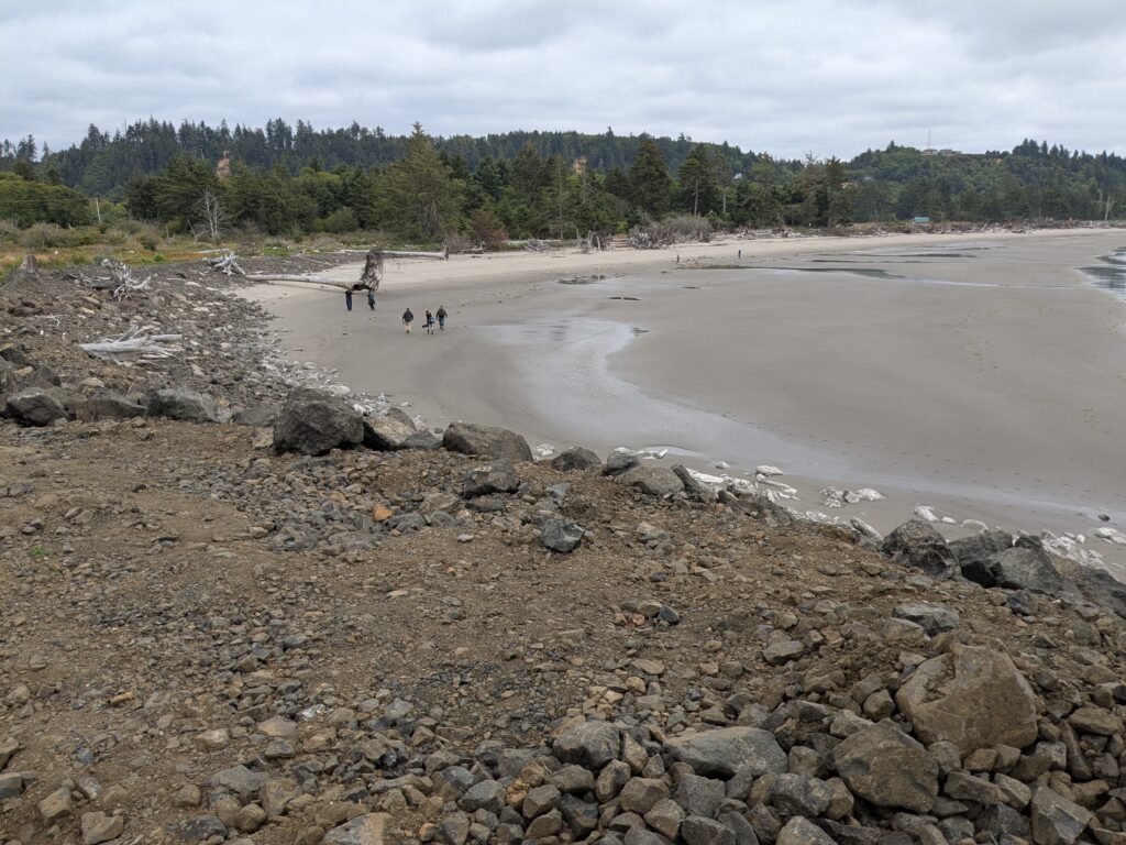 a group of people walking on a beach (MyCoast AI)