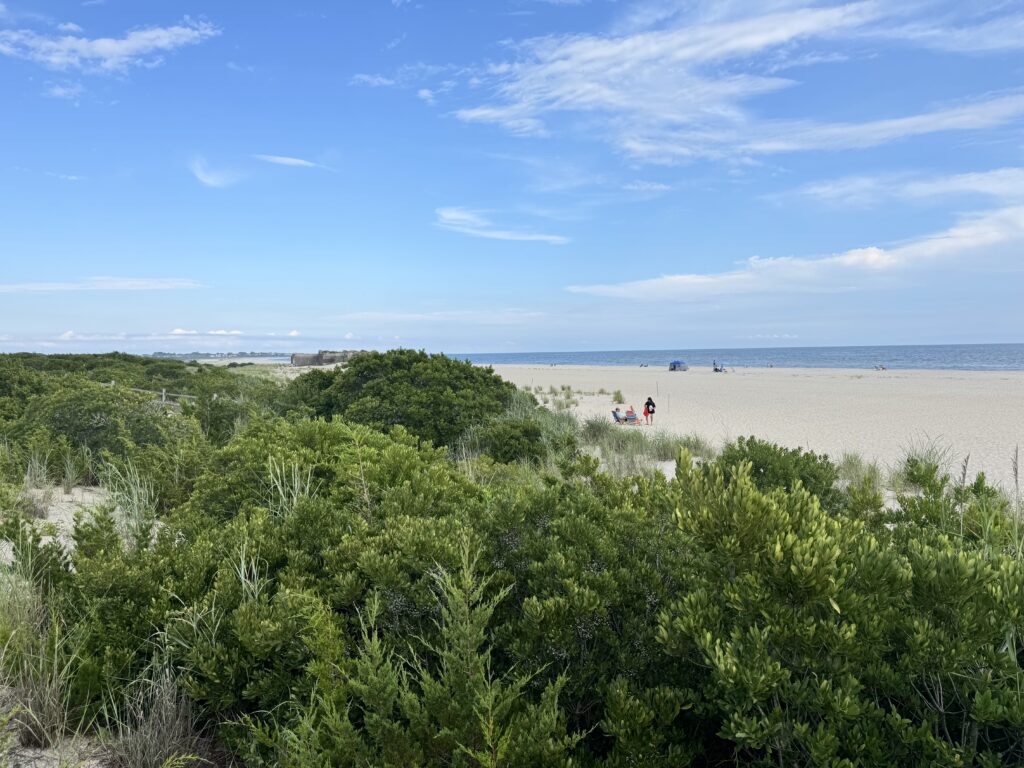 a group of people walking on a beach (MyCoast AI)
