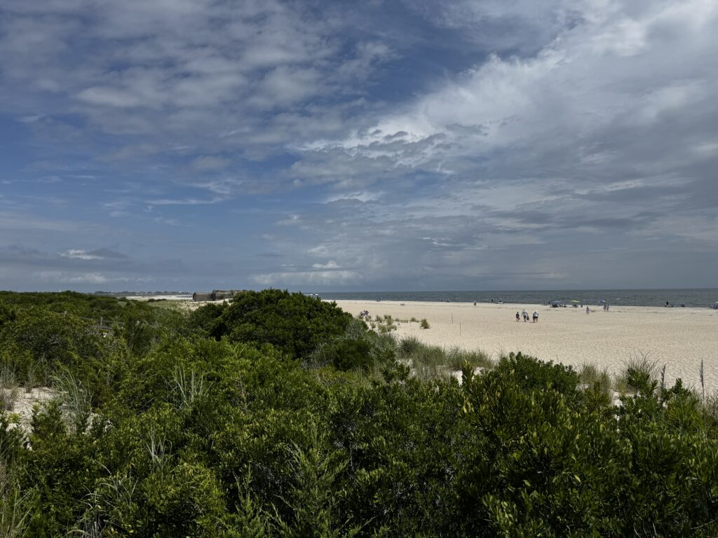 a beach with trees and bushes (MyCoast AI)
