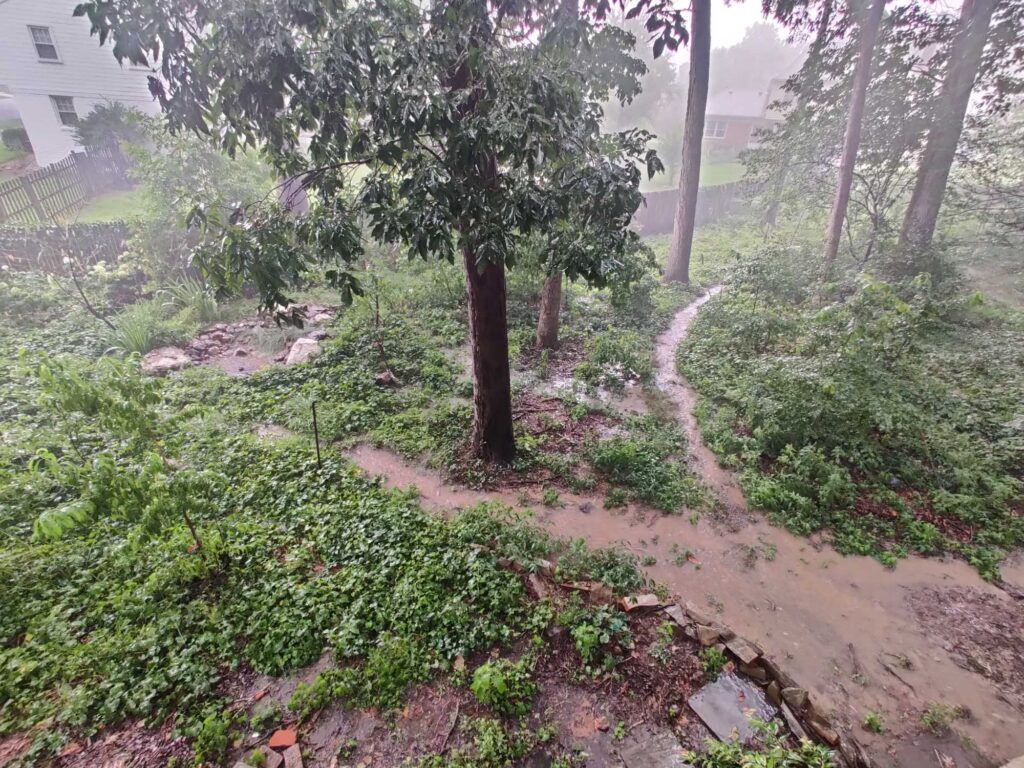 a dirt path through a forest (MyCoast AI)