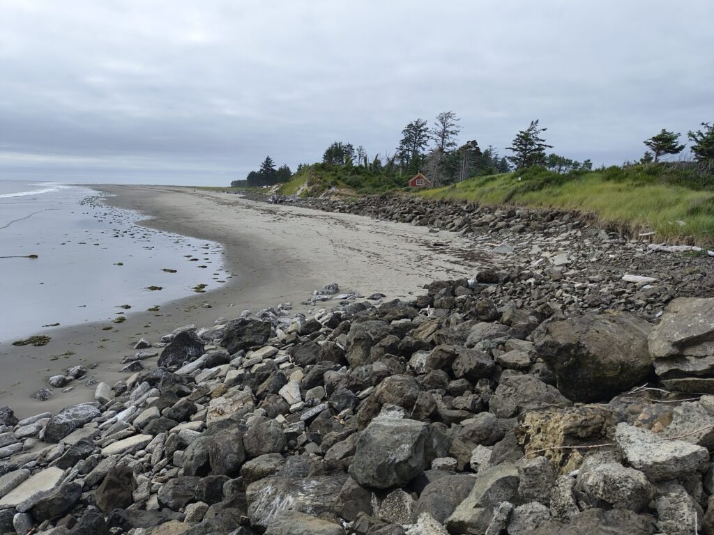 a rocky beach with trees in the background (MyCoast AI)