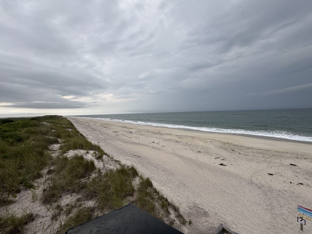 a beach with a body of water in the background (MyCoast AI)