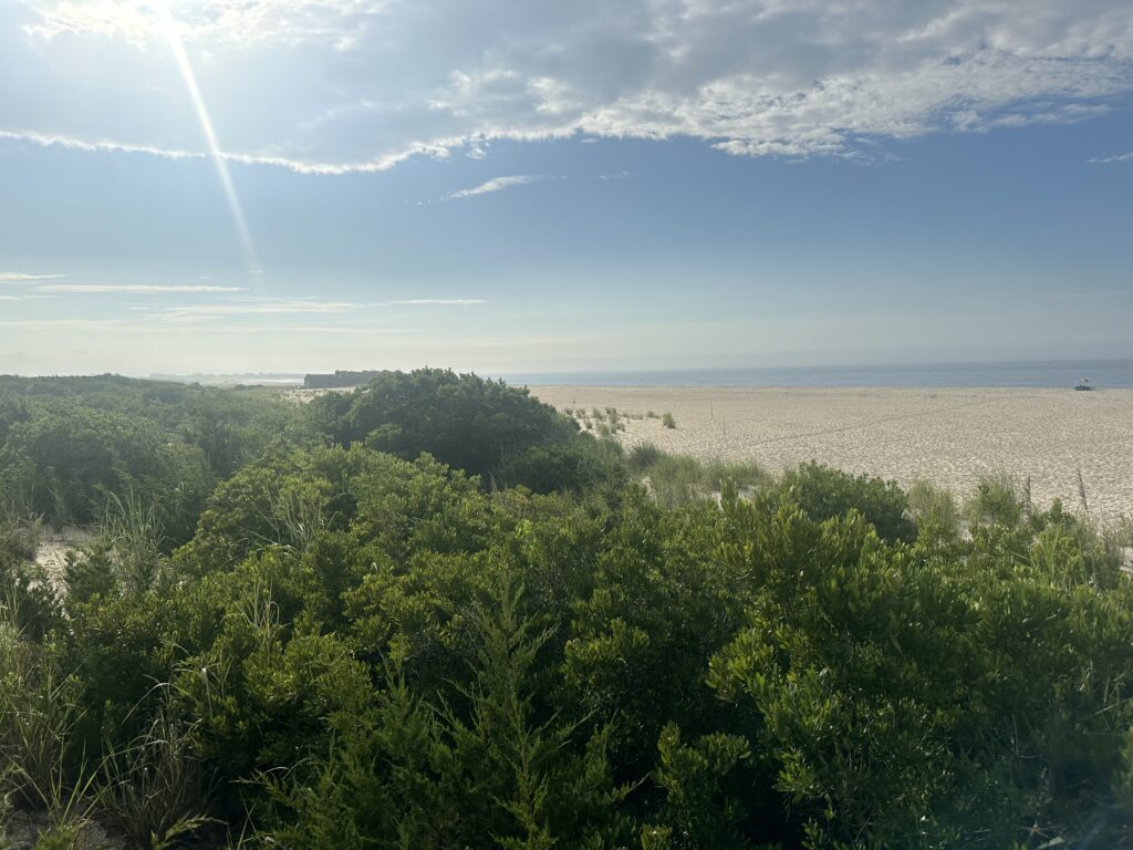 a landscape with trees and a body of water in the background (MyCoast AI)