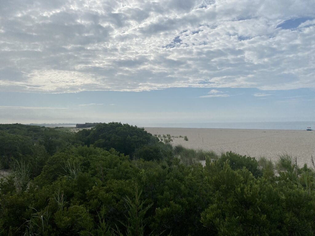 a beach with trees and water (MyCoast AI)