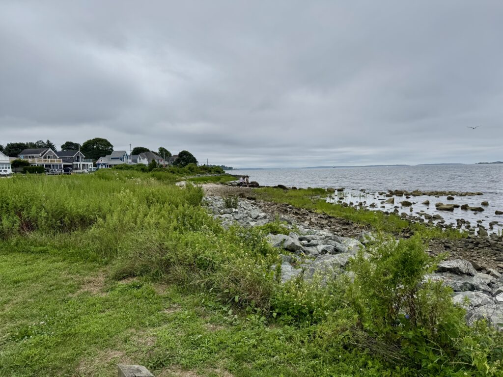 a grassy area next to a body of water (MyCoast AI)