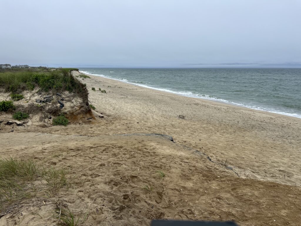 a sandy beach with a body of water in the background (MyCoast AI)