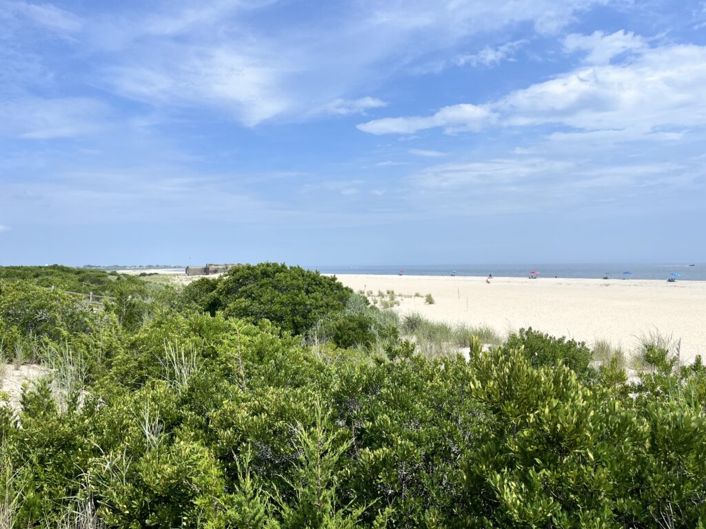 a beach with trees and bushes (MyCoast AI)