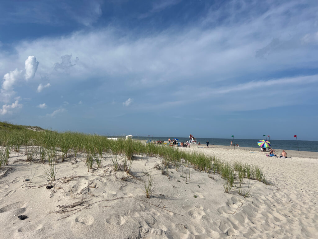 a beach with people on it (MyCoast AI)