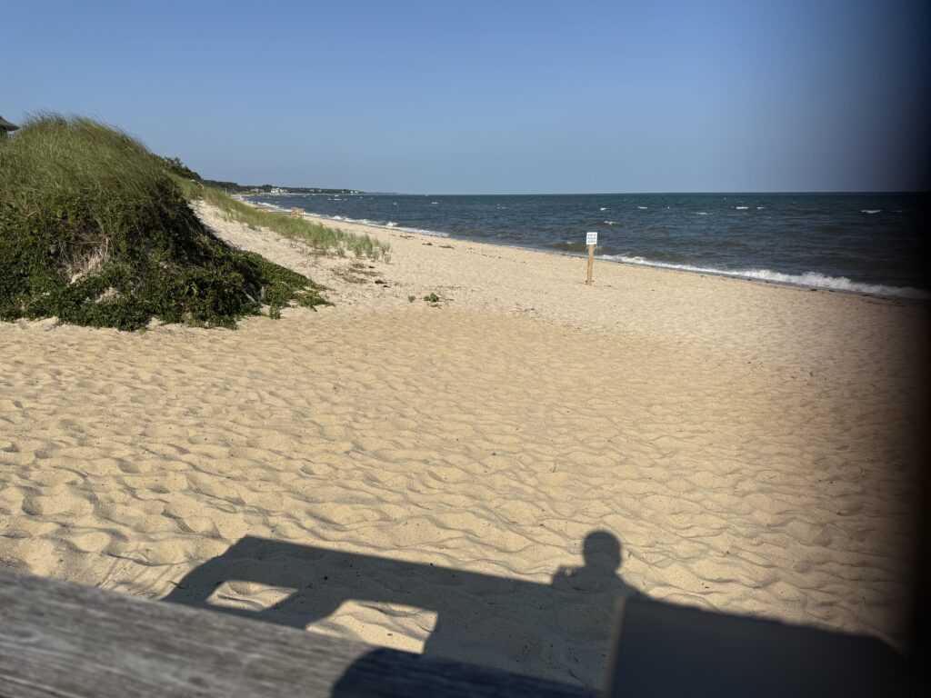 a sandy beach with a light post (MyCoast AI)