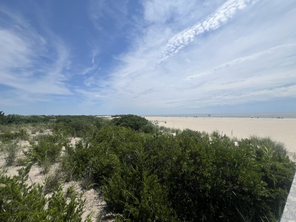 a landscape with trees and a body of water in the background (MyCoast AI)