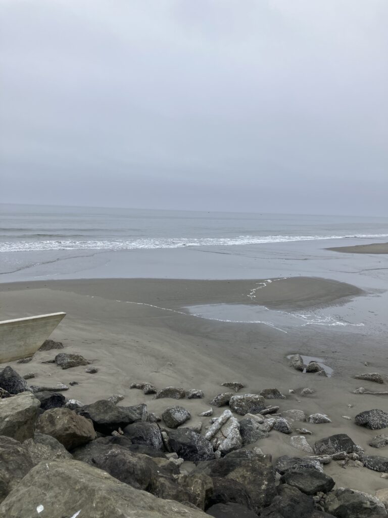a rocky beach with waves crashing (MyCoast AI)
