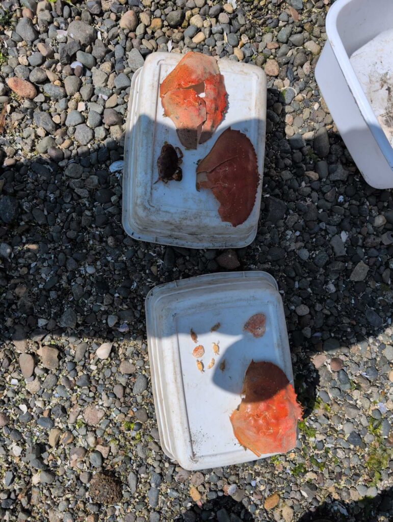 a couple plastic containers with food in them (MyCoast AI)