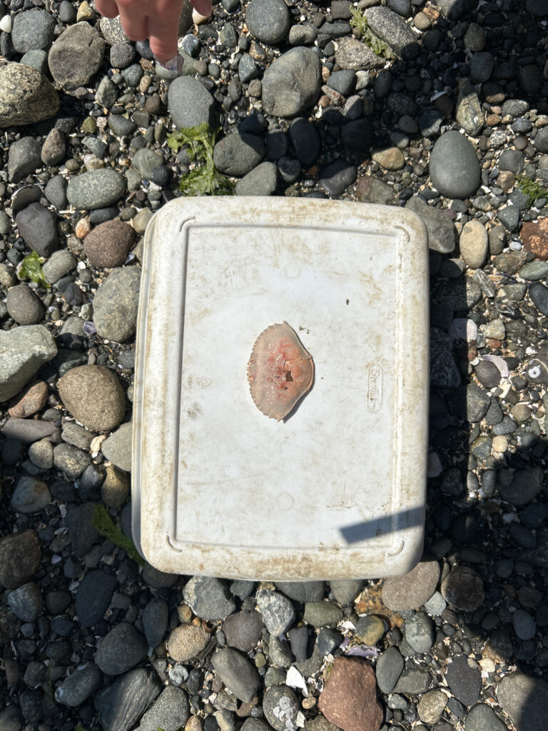 a white square object on a rocky surface (MyCoast AI)