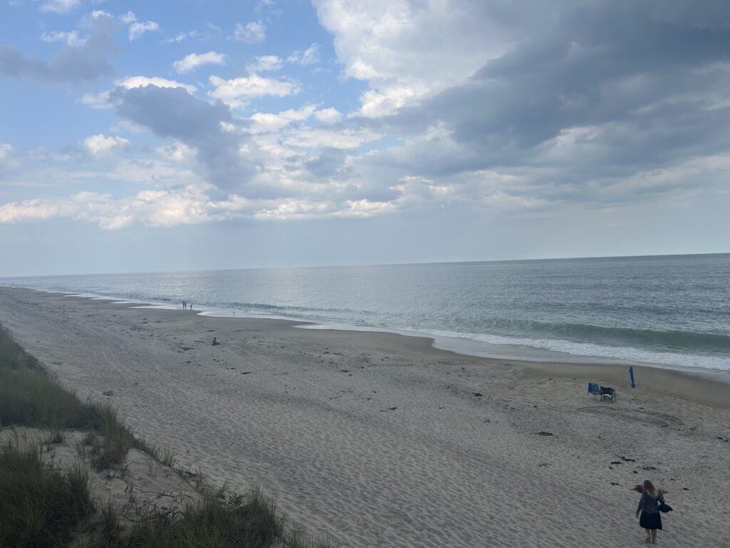 a person walking on a beach (MyCoast AI)