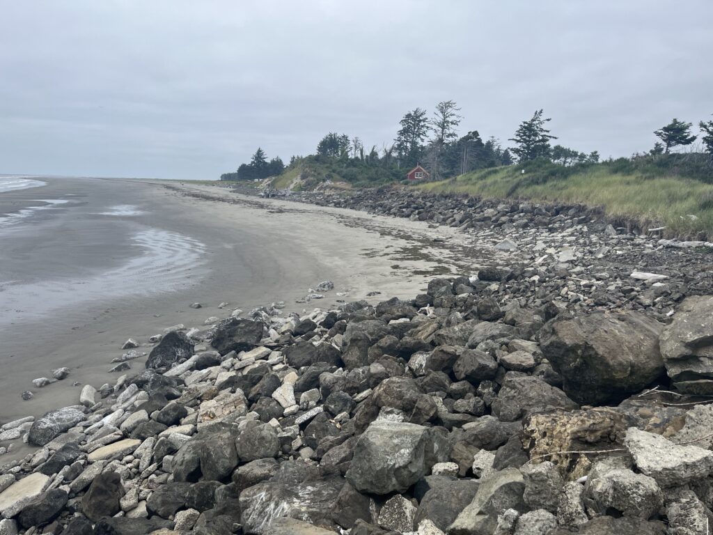 a rocky beach with trees and a hill in the background (MyCoast AI)