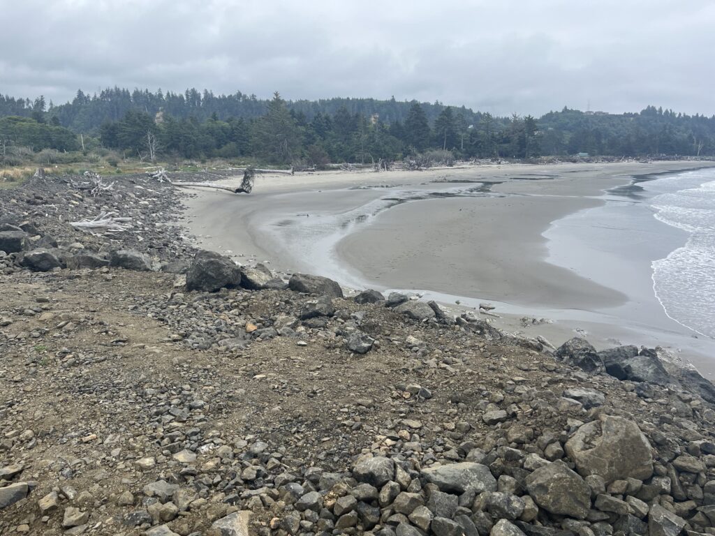 a rocky beach with a body of water and trees in the background (MyCoast AI)