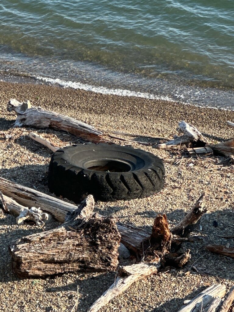 a tire on a beach (MyCoast AI)