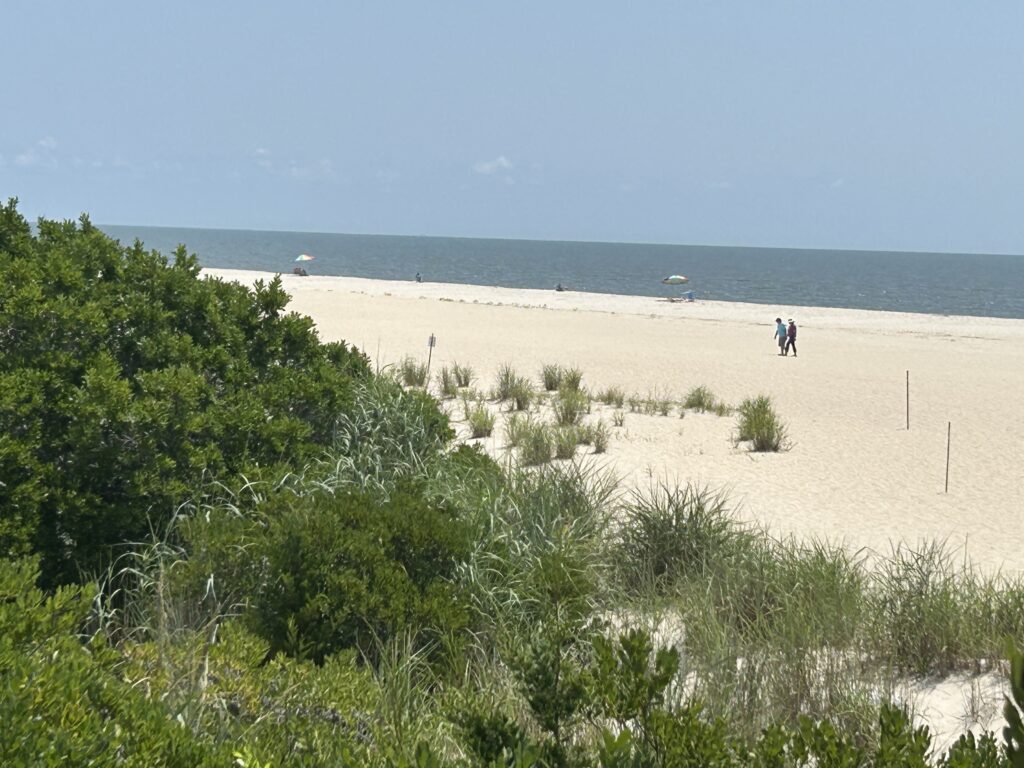 a beach with people walking on it (MyCoast AI)