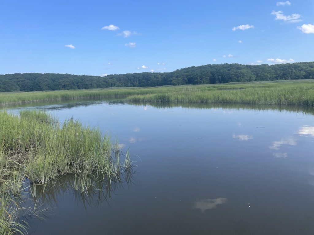 a body of water with grass and trees around it (MyCoast AI)