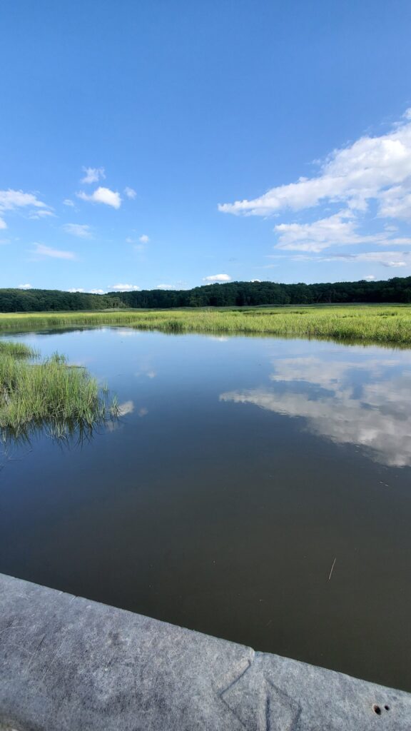 a body of water with grass and trees around it (MyCoast AI)