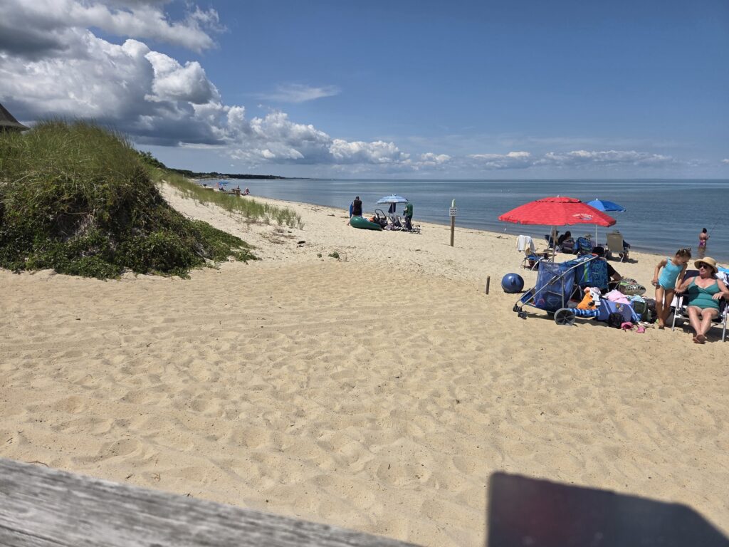people sitting on a beach (MyCoast AI)