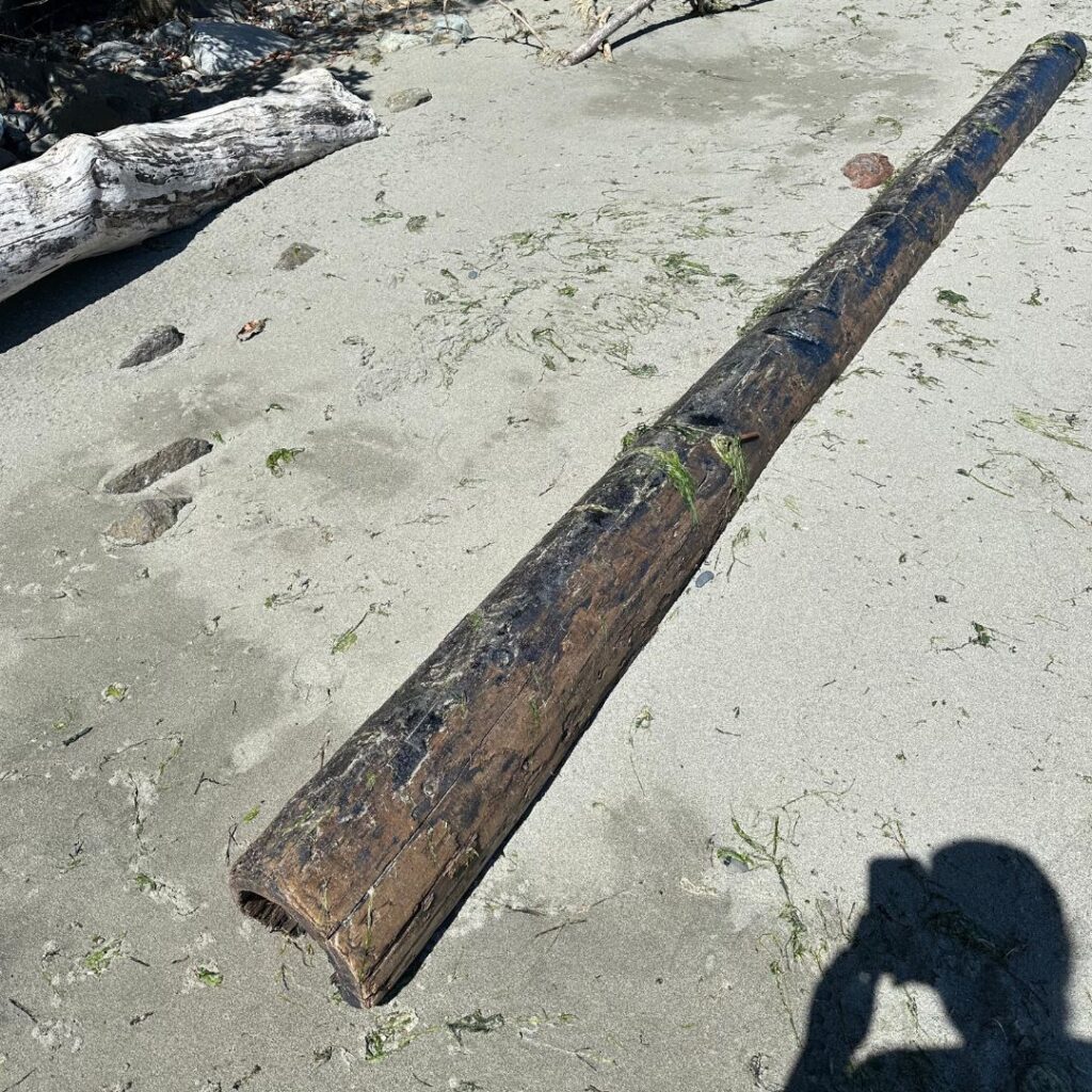 a log on the sand (MyCoast AI)