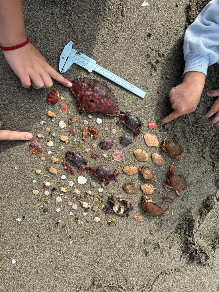 a person cutting up a piece of meat (MyCoast AI)