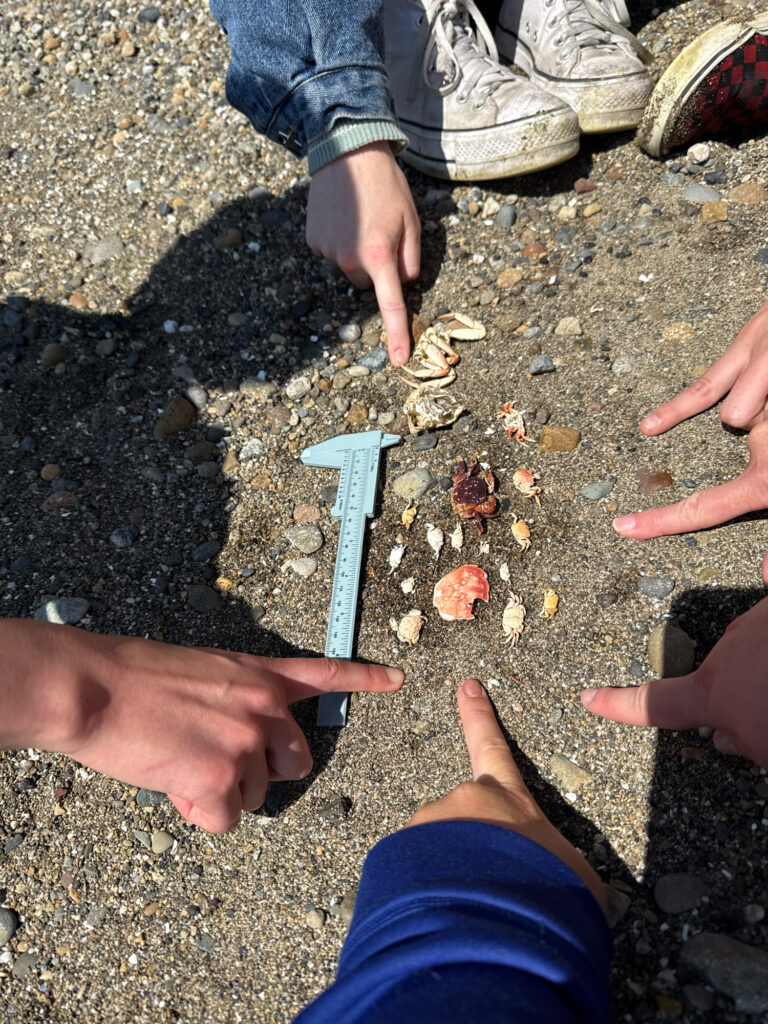 a group of hands holding a blue pen (MyCoast AI)