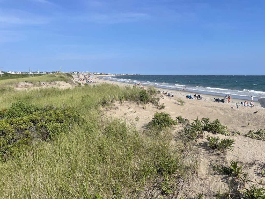 a beach with people on it (MyCoast AI)