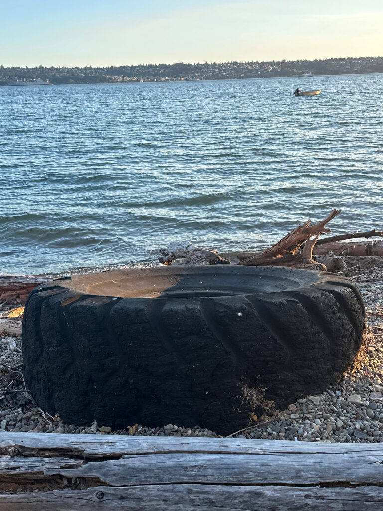 a large rock on a beach (MyCoast AI)