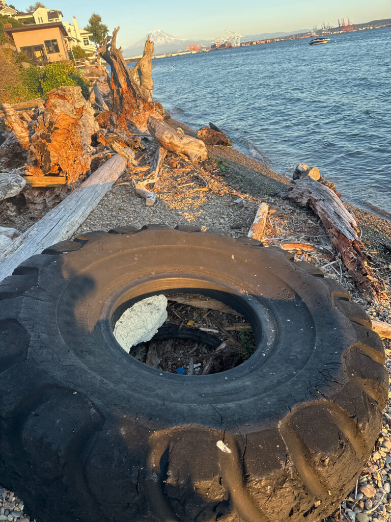 a tire on a beach (MyCoast AI)