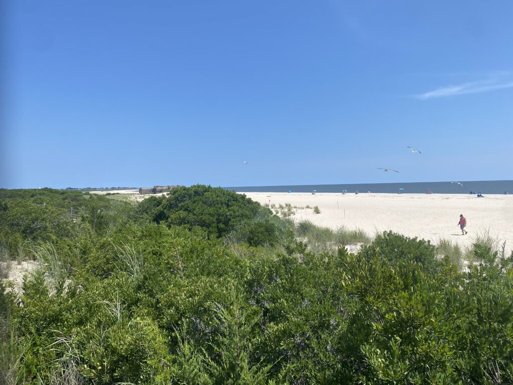 a person walking on a beach (MyCoast AI)