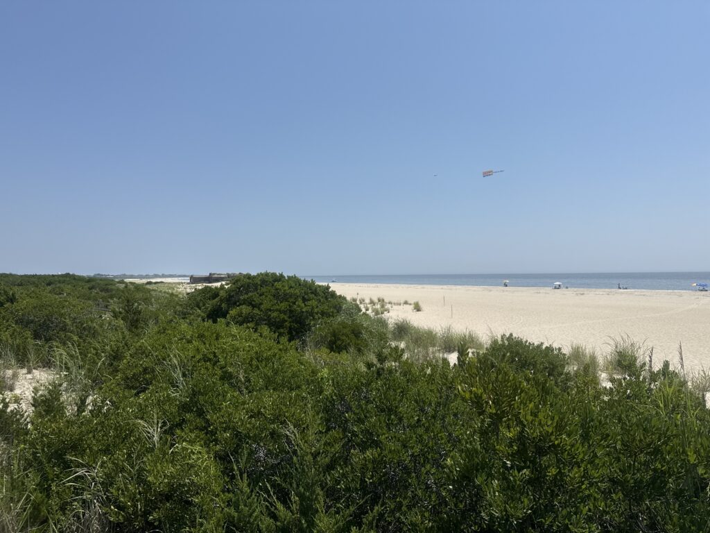 a bird flying over a beach (MyCoast AI)
