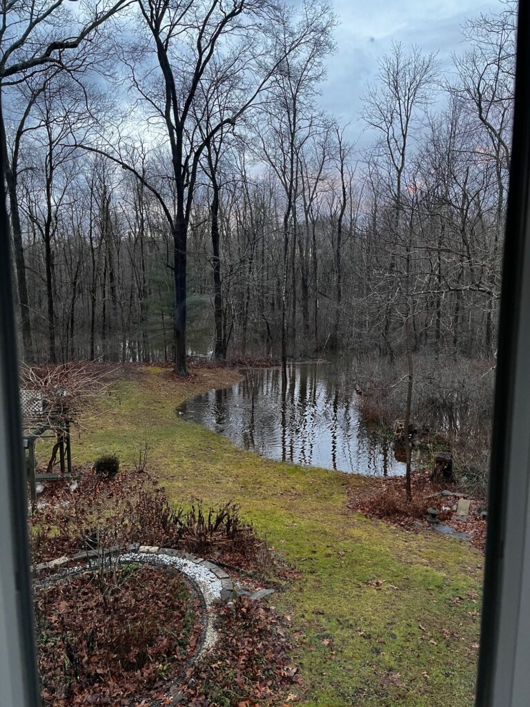 a stream with grass and trees around it (MyCoast AI)