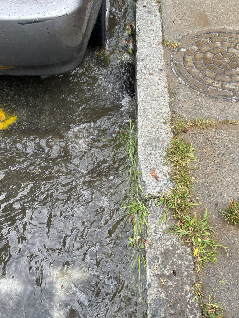 a puddle of water on the sidewalk (MyCoast AI)