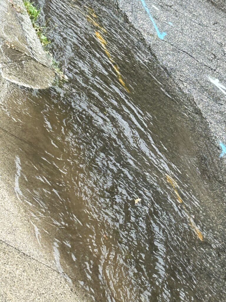 a road with a puddle on the side (MyCoast AI)