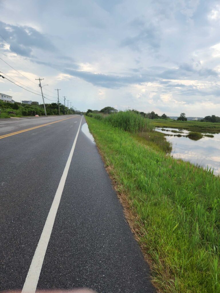 a road with grass and water on the side (MyCoast AI)