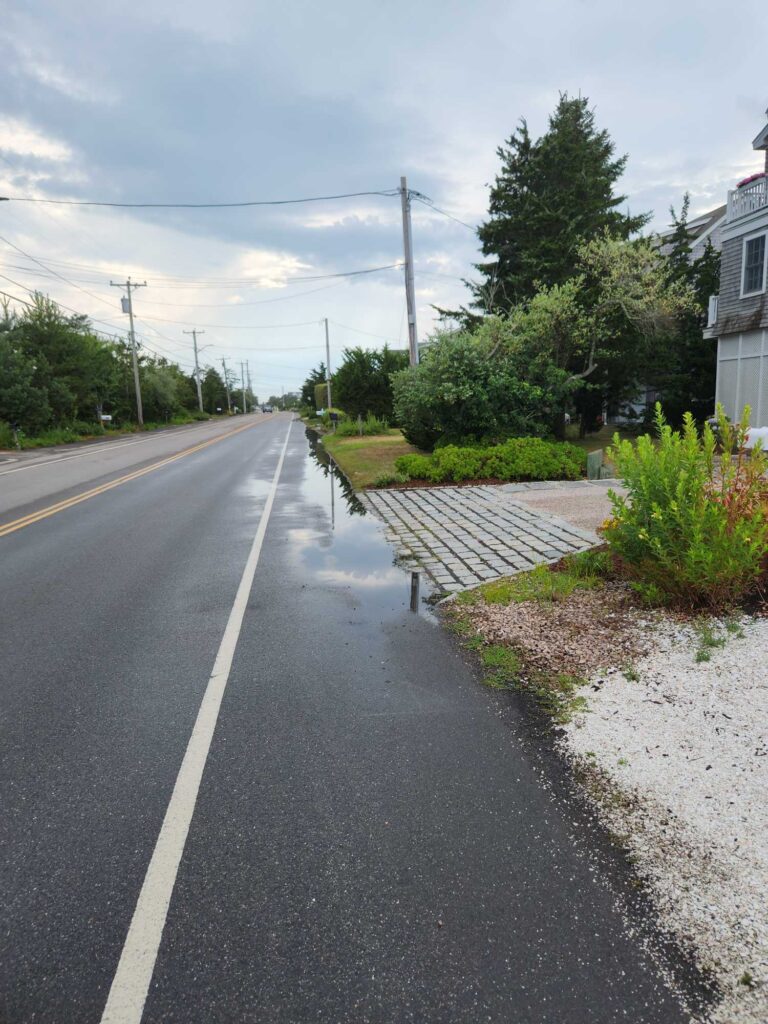 a road with trees and houses along it (MyCoast AI)