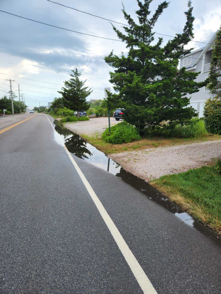 a road with trees and grass on the side (MyCoast AI)