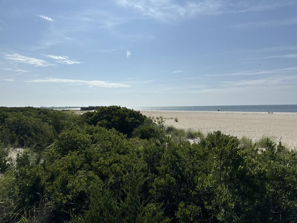 a beach with trees and a body of water in the background (MyCoast AI)