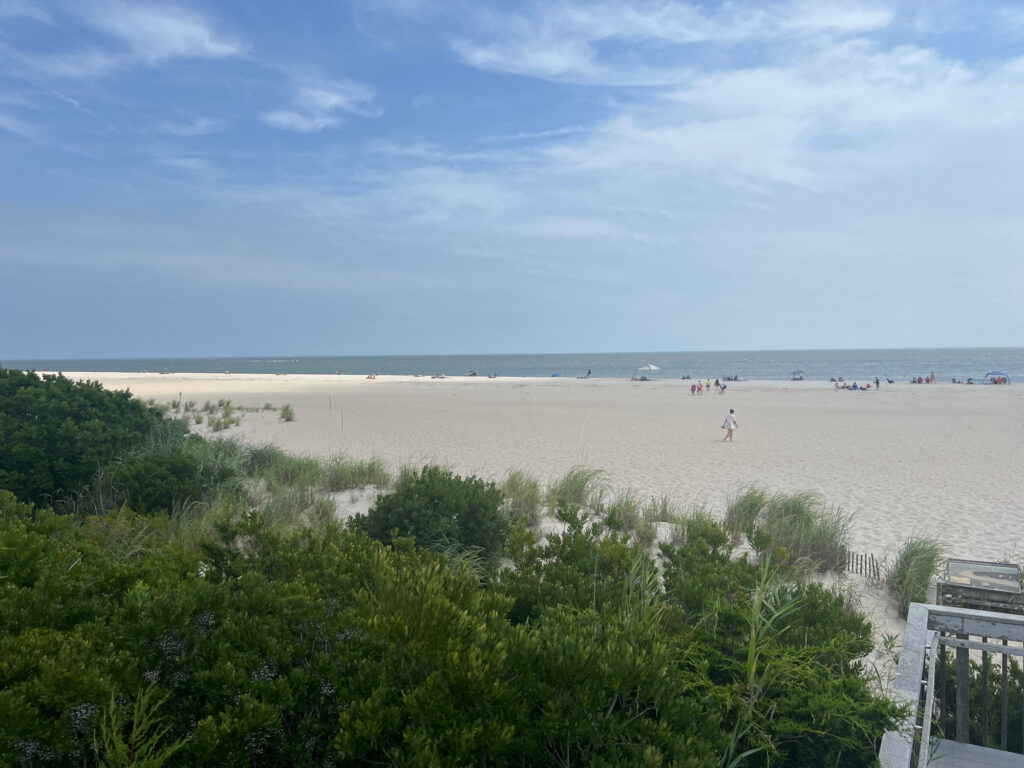 a beach with people on it (MyCoast AI)