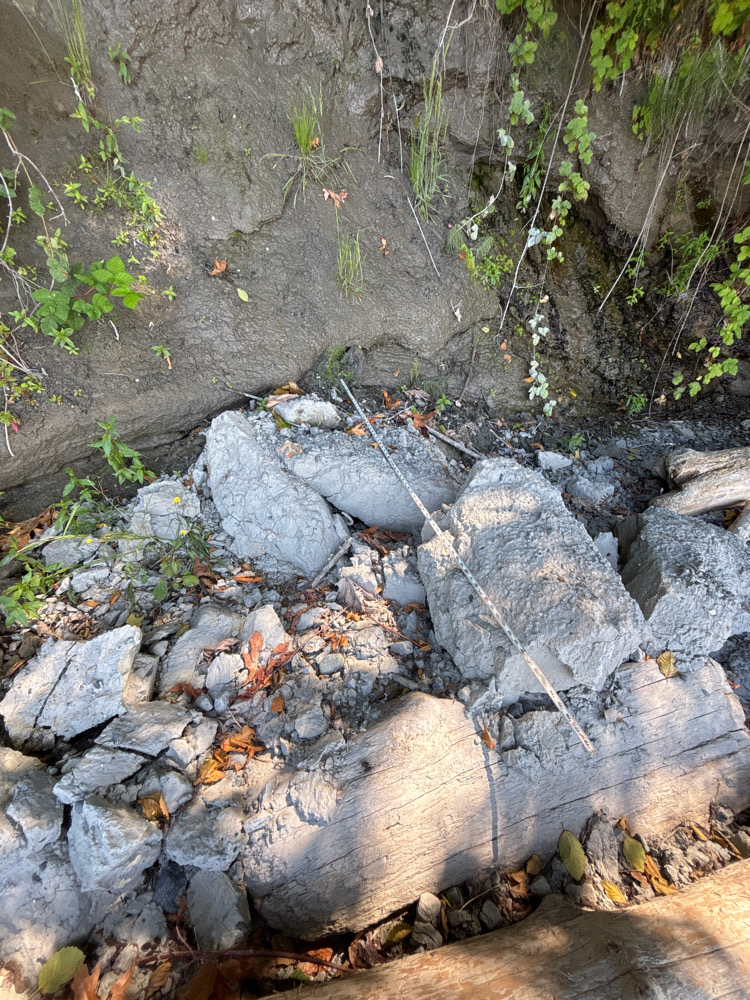 a pile of rocks (MyCoast AI)