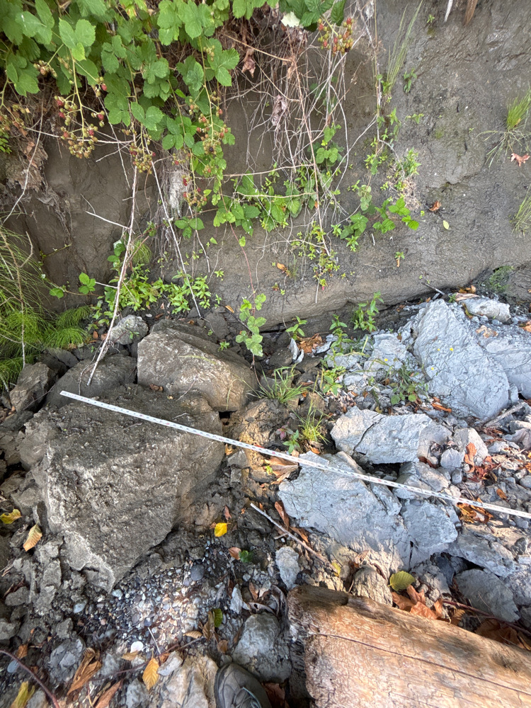 a small waterfall in a garden (MyCoast AI)