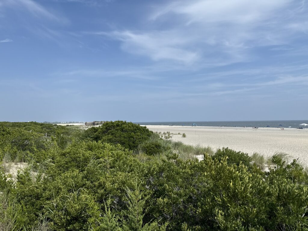 a beach with bushes and trees (MyCoast AI)